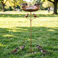 Rustproof Metal Iron Bird Bath Feeder Standing Bowl 5 Claw Ground Plug Bird Feeding Station Hummingbird Feeder Vintage