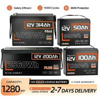 batteryHumsienk 12V 100Ah 150Ah 200Ah 314Ah LiFePO4 Battery Built-in BMS Low Temperature Protection For RV/ Camp/ Solar Energy