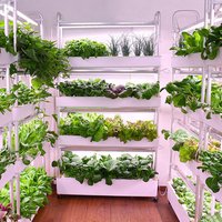 Hydroponics Growing System Vertical Smart Indoor Growing Hydroponic Cultivation Garden Household Planter Plant Cultivation Tower