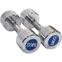 Customized Electroplating Stainless Steel Round Chromed Dumbbell Set Lifting Weights Gym Equipment 1-10KG Dumbbell
