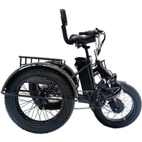 3-Rad-20-Zoll-Klapp-Elektro-Dreirad für Erwachsene, Frachtfetter Reifen, 500 W, 48 V, Fatbike-Elektrofahrrad für Männer, abnehmbare Batterie