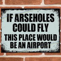IF ARSEHOLES COULD FLY Funny Metal Signs Man Cave Shed Garage Home Joke Tin Sign-Aluminum