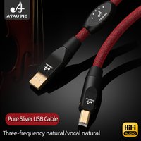 HiFi USB Audio Cable Hi-end Pure Silver USB A to B DAC Decoder Amplifier Audio Signal Line Type C to B Sound Car Cable