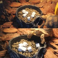 For Turtle Mineral Block Calcium Supplements Slow Release Calcium Blocks For Aquatic For Turtle Insufficient SupGood Quality