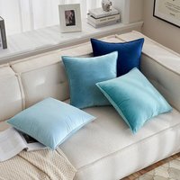 2pcs Water Blue Velvet Pillow Covers Modern Decorative Couch Pillowcases Soft Cozy 30x50cm 45x45cm 50x50cm for Bed Home Gift