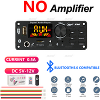 Compact Bluetooth 5.0 Amplifier Complete Kit with Remote & Gift Box, DC 7-12V for Car Audio, Portable Mini Speaker
