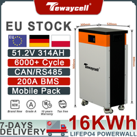 Tewaycell 51.2V 16KWh Powerwall 314Ah LiFePO4 Battery Pack Buitl-in 200 BMS Lithium Iron Phosphate 6000Cycle Monitor EU Stock