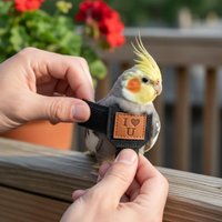 Comfortable Bird Harness Flight Training Parrot Vest Adjustable Safety Leash for Outdoor Adventure and ExerciseHot Sale