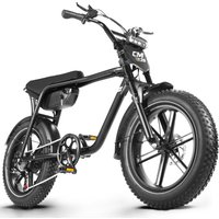 Elektrofahrrad 48V 18Ah E-Bike 20 Zoll 7-Gang Mountainbike 4.0 Fat Tire E-Bike LCD-Display E-Bike mit Federgabel