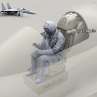 1/48 resin soldier model GK Russian pilot Unassembled and unpainted DIY kit 669