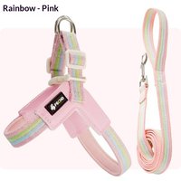 Rainbow Contrast Chest Strap Dog Leash Breathable Small and Medium Dogs Bigbear Walking Dog Rope Vest Type Dog