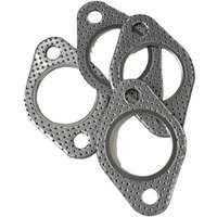 High Quality New Exhaust Gasket 25-37236-01 for Carrier Thermo King