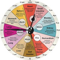 Chinese 24 Hour Organ Wall Clock Room Decoration Clock Must-have Ornament Round