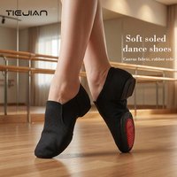 Dance Shoes Women's Soft-Soled Training Shoes Teacher's Shoes Classical Dance Outdoor Canvas Black Men's Lace-up Jazz Shoes