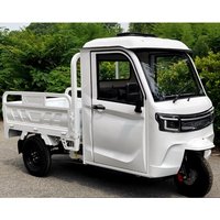 EEC CE the New Style Electric Cargo Tricycle Made in China