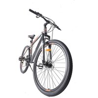AliExpress YTYIN Professional Sport Bicycle Bicicleta Aluminio 29 Mtb Bike Mountain Bicycle