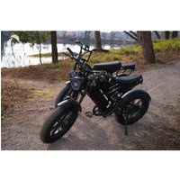 AliExpress YTYIN Electric Bicycle 750W Electric Dirt Bike 20ah E Bikes V10 Electric Bike Adult Mountain Bike All-terrain Electric Bicycle