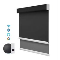 Hot Selling Grade A Fabric And Dirt-Proof Remote Control Connect Alexa Google Wifi Motorized Double Roller Blinds For Windows