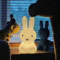 Kawaii Colorful Remote-controlled Bedroom Ambient Light 28CM Miffy Cartoon Night Light Cute Gift Toy