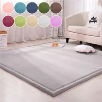 1PC Tatami Coral Velvet Carpet Living Room Bedroom Window Bed Rugs Baby Play Mat Children Room Carpet 2/3cm Thick Customized