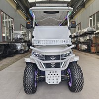 Newest Lithium Battery Golf cart 72v120ah Electric Golfcart for sightseeing offroad driving hunting club 4 Wheel Drive golf cart