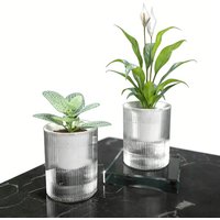 Transparent plastic self-watering flower pot for green plants, large thickened lazy planter for home balcony and succulents