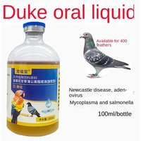 Pigeon diarrhea water green stool pigeon nutritional supplement probiotic nutrient solution 100ml parrot daily health care