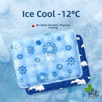 Waterless Ice Pad Cooling Summer Cushion for Students Car Gel Ice Bag Cold Pillow Home Use Ice Pad Comfortable Temperature