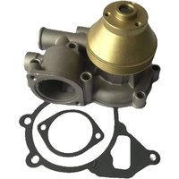 Replace New Water Pump Fits Lister Petter Predator 425 Alpha LPW LPWT 751-41022 750-40621