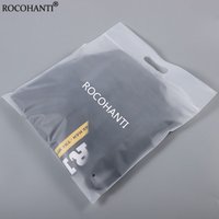 100pcs Custom Brand Logo Matte EVA Slider Frosted Tranceperent Plastic Packing Bag Self Sealing Zip Lock Clothes Bag With Handle