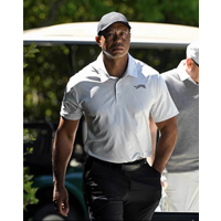 Sun Day Red 25 New Tiger Woods Comfortable Elastic Shirt Golf Short Sleeve Men's T-Shirt Casual Sportswear Fitness Fan Gear