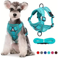 No Pull Dog Harness and Leash Set Adjustable Pet Harness Vest for Small Dogs Cats Reflective Dog Chest Strap Lead Walking
