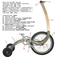 Three-wheeled Exercise Bike / Stand-free Standing Bicycle / Ultra Light Folding Bike / Sports Weight Loss Bike / Wooden + Steel