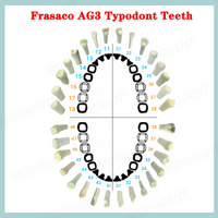 Dental Teeth Model 8014-2 With 32pcs Screw-in Teeths 8022-2 Fit Frasaco AG3 Typodont For Dentistry Practice Training