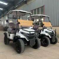 Luxury High Quality 2 Seat Golf Carts Electric Lithium Utility Vehicle Golf Car Hunting Buggy