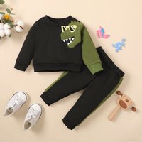 3-24 Monate Baby Boy Kleidung Set lange Ärmel Dinosaurier Print schwarze Pullover Hose 2 Stück Kleidung Herbst Winter Kleinkind Junge Outfit