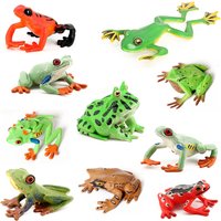Frogs Collection Rana Bullfrog Treefrog Hornedfrog Toad Squishy Frog Rainforest Animal Figurines Action Figure Toy Kids Gifts