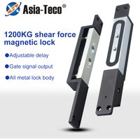 DC 24V 12V Concealled Shear Lock Electromagnetic Embedded Electric Magnetic Lock For Door Access Control System With Time Delay