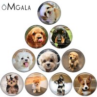 Fashion Lovely Dogs Cartoon 10pcs 12mm/18mm/20mm/25mm Round photo glass cabochon demo flat back Making findings ZB0561