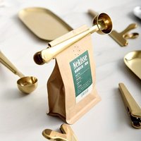 Nordic Style 2-in-1 Coffee Clip Spoon Golden Stainless Steel Sealing Clip Powder Brew Dose Spoon Home Supplies Kitchen Utensils