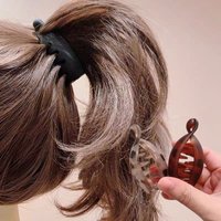 Banana Clips, Small Size, Vertical Clips for Women, Elegant High Ponytail Hairpins, Twist Clips, Simple Hair Accessory
