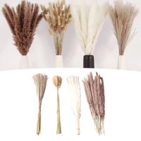 Natural Dried Pampas Grass Fluffy 15PCS White Pampas 15PCS Brown Pampas 50PCS Bunny Tail Grass 20PCS Reed Grass for Home Decor