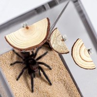 Wood Reptile Climbing Platform Set Wall Mounted Perch Ledge for Tarantula Hermit Crab Gecko Small Pet Habitat Accessories