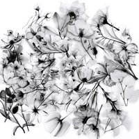 50Pcs Black and White Natural Flower Waterproof PET Stickers Aesthetics for DIY Scrapbook Phone Case Car Plant Art Decorations