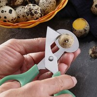 1pc Eggshell Cutting Scissors - For Quail and Bird Eggs - Easy to Use and Durable, for Egg Opening, Shell Cracking,Egg Splitting