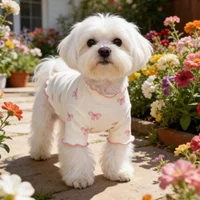 1pc Pet Dog/Cat Clothing, Allover Bow Tie Print, Breathable & Comfortable Knit High elasticity