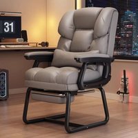 Computer Chair Home Comfort Sedentary Office Chair Reclining Sofa Dormitory Desk Chair