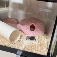 Habitat Terrarium Décor, Aquarium Decoration, 3D Printed Hidden Cave, Shelter for Reptiles Gecko and Snake Chameleon Lizard