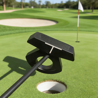 DF3 Golf Putter Zero Torque Balanced Blue Mallet Putter Steel Shaft 33 34 35 Inches Golf Clubs for Men