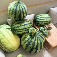 Realistic Watermelon Plush Pillow Squishy Stuffed Fruit Toy Cushion for Kid Birthday Gift Home Sofa Bedroom Decoration Companion
